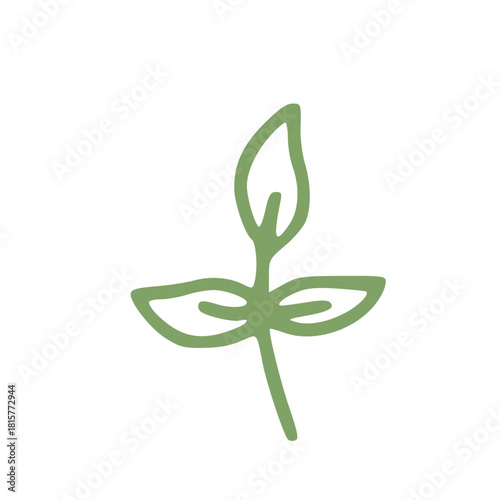 green leaf in handdrawn outline