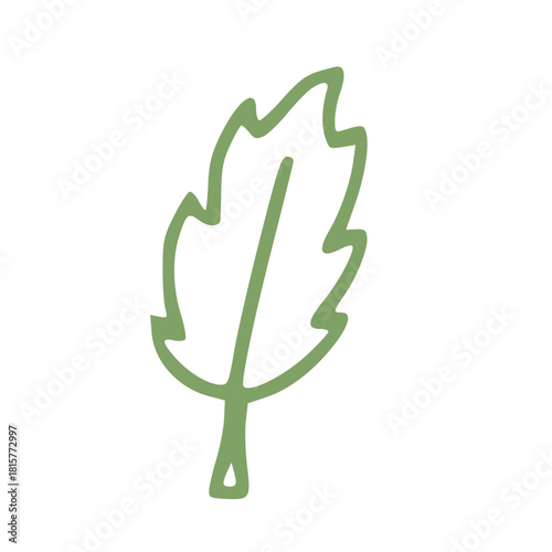 green leaf in handdrawn outline