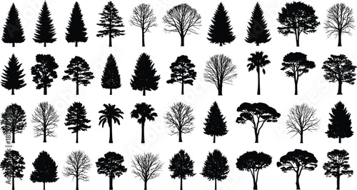 Silhouette collection of diverse trees including pines, palms, and deciduous species, isolated black forest elements for landscape design and illustration use