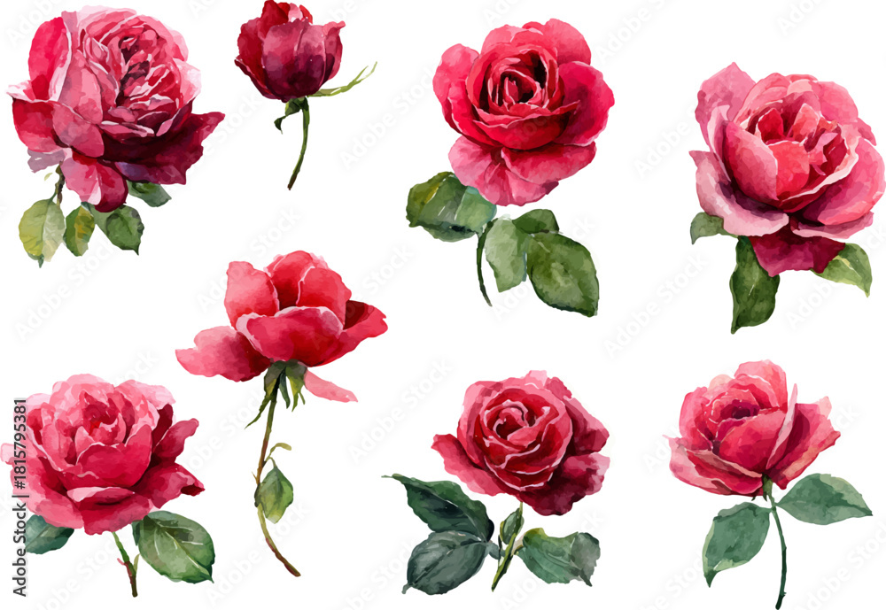 Fototapeta premium seamless pattern with roses