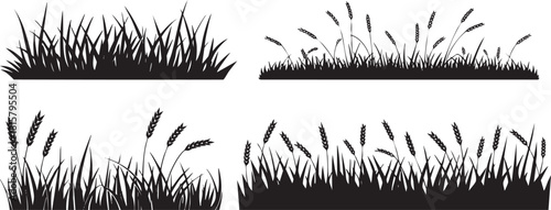 Black Silhouette of Grass and Wheat Plants on White Background Design