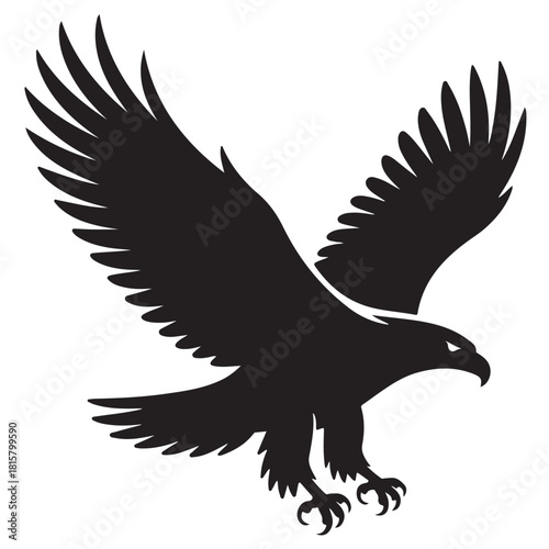 Black and white vector illustration of an eagle isolated on white background bird of prey with outstretched wings