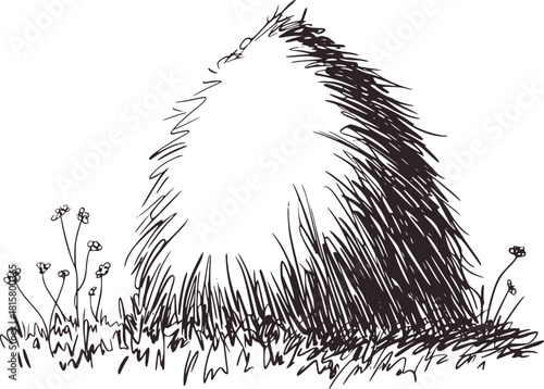 Black and white sketch of a haystack in a grassy field