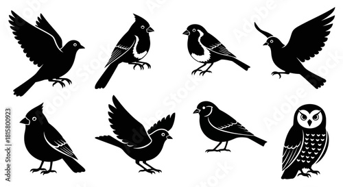 Silhouette collection of various birds, including a cardinal, sparrow, and owl, in different poses.
