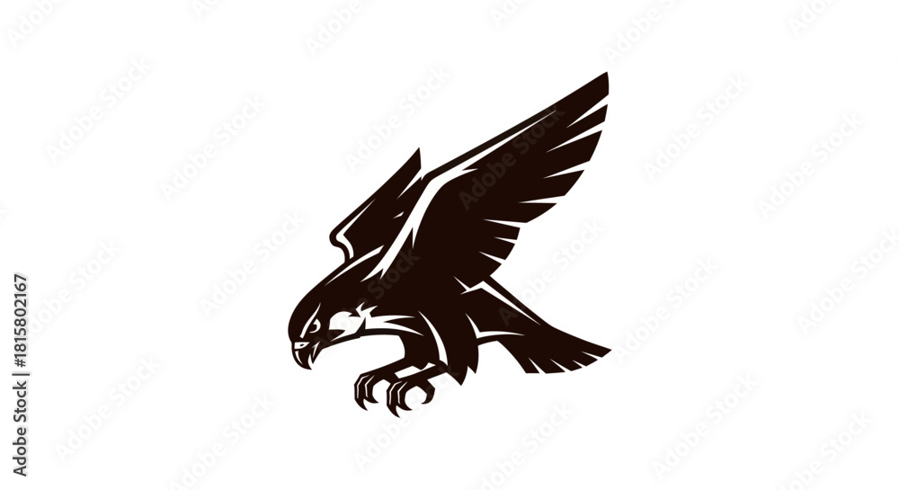 Obraz premium Soaring hawk silhouette against white background for design elements