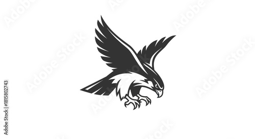 Soaring hawk silhouette emblem graphic design vector illustration