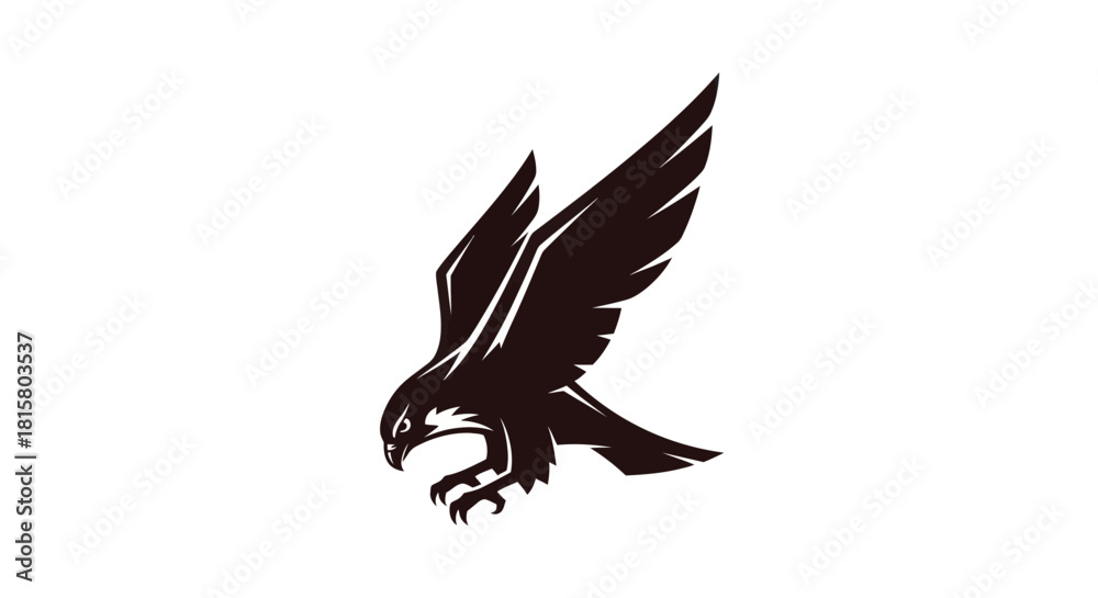 Fototapeta premium Soaring hawk silhouette on white background for design elements