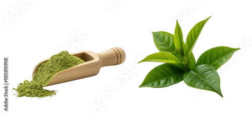 Green tea powder in wooden scoop and fresh leaves isolated on a transparent background