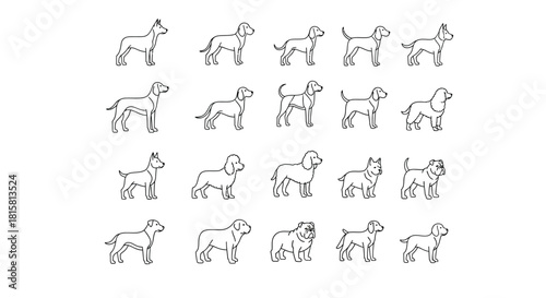 Collection of diverse dog breeds in outline style, showcasing various sizes, shapes, and coat types for pet lovers