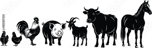 Farm, animals, silhouette, black, white, row, chicken, pig, goat, cow, horse, rural, agriculture, livestock, graphic, minimal, domestic, barnyard, nature, countryside, design