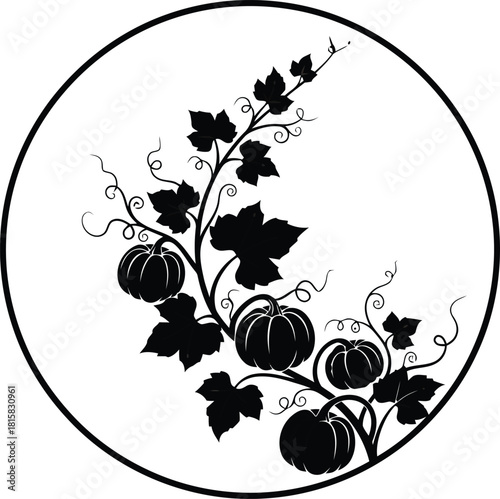 Black silhouette of a pumpkin vine with gourds in a circle