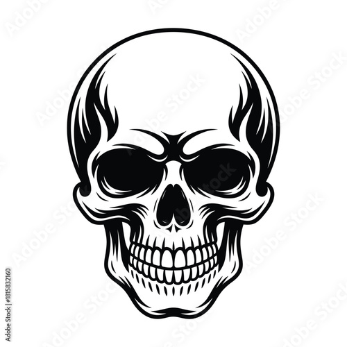Detailed vector illustration of a human skull isolated on, showcasing intricate bone structure and dark eye sockets, perfect for gothic or medical themes