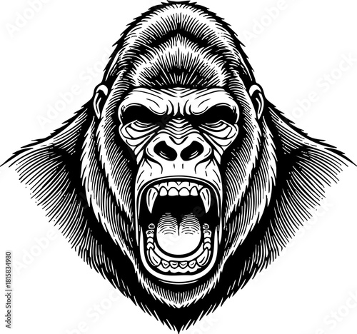 Fierce gorilla roaring with aggression and power