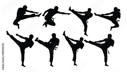 Dynamic martial arts kicks silhouettes isolated on white background, Vector
