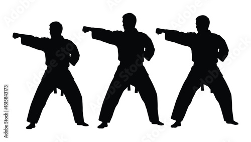 Karate punch silhouette isolated on white background, Vector