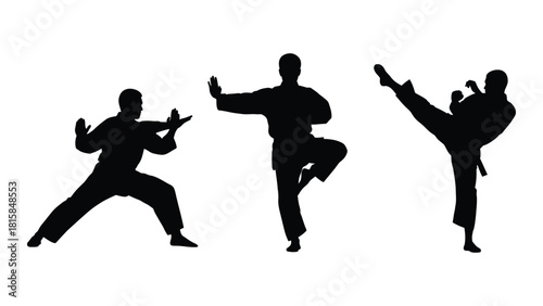 Martial arts silhouettes in action poses isolated on white background, Vector