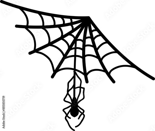 Spider web with hanging spider