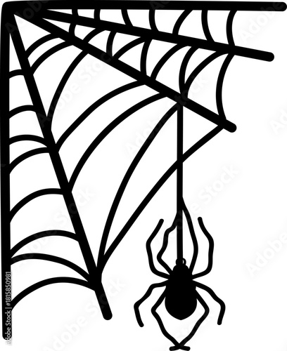 Spider web with hanging spider