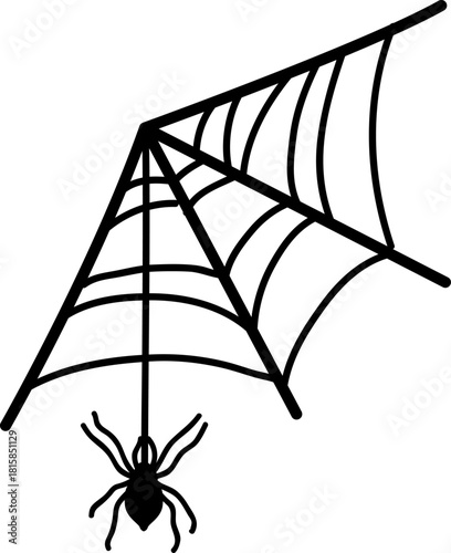 Spider web with hanging spider