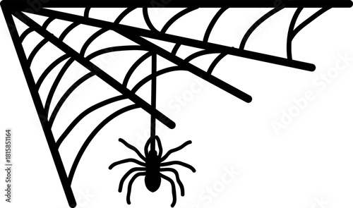 Spider web with hanging spider