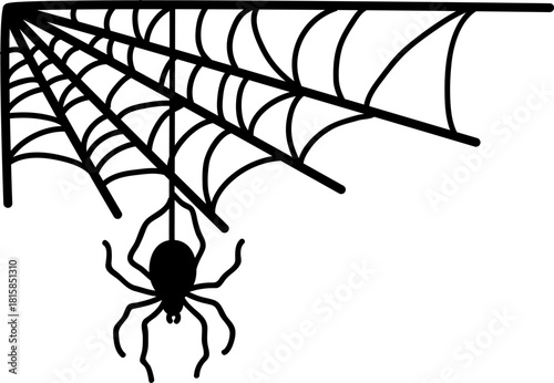 Spider web with hanging spider