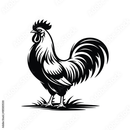 Majestic rooster illustration isolated on, showcasing its proud stance and intricate details, perfect for farmthemed designs and poultryrelated projects