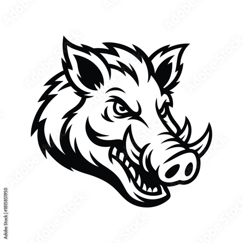 Wallpaper Mural Fierce boar head illustration isolated on, showcasing its tusks, snout, and angry expression, perfect for sports team or mascot design Torontodigital.ca