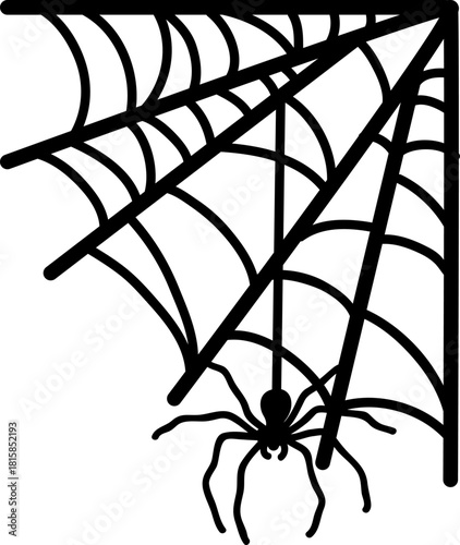 Spider web with hanging spider