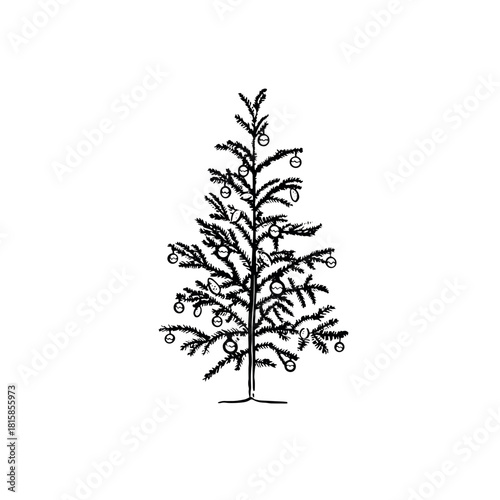 A sparse stylish Christmas fir tree, hand drawn in black.