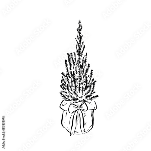 Baby Christmas tree in a hessian bag with bow. Hand drawn in black. 
