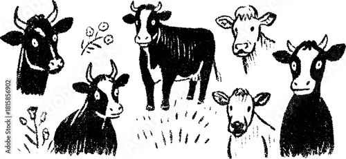Cow illustrations in a vintage style. Set of black and white cartoon vector designs representing dairy and farming themes.