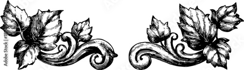 Decorative leaves and vine in detailed sketch style. This black and white vector illustration features intricate floral elements in a set.