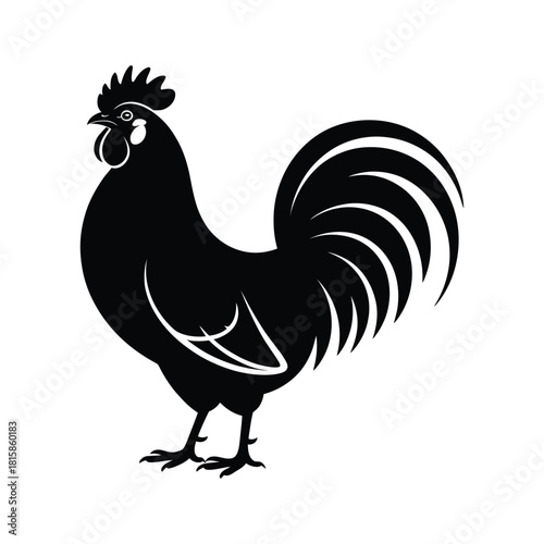 Silhouette of a rooster isolated on, depicting a farm animal with a comb and wattle, standing in profile with its tail feathers fanned out