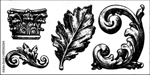 Decorative ornament set featuring intricate leaves and classical flourishes. Vintage vector illustration showcasing elegance and craftsmanship.