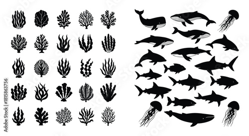 Mega set of marine life and underwater plants, collection of coral, algae, seaweed, whales, sharks, dolphins, and jellyfish silhouettes, ideal for ocean, scuba, and sea design, isolated on white