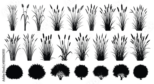 Set of cattail, reed grass, and shrub silhouettes, collection of various marsh and decorative plants, perfect for wetland landscape design, nature graphics, and borders, isolated on white background