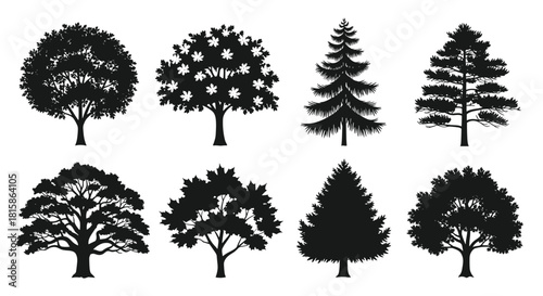 Set of eight detailed tree silhouettes, collection of various deciduous and coniferous trees, including maple, oak, and pine, perfect for landscape design, forest graphics, and nature logos
