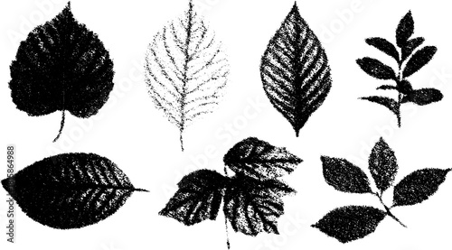 Collection of leaf silhouettes in black engraving style. Vintage botanical elements showcase intricate details in a vector illustration set.