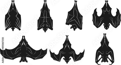 “Hanging and flying bat silhouette collection for Halloween design, spooky night wildlife illustration, dark gothic animal symbols and horror themed vector artwork”