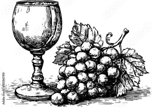 Grapes and wine glass in outline style. Vintage black and white vector illustration with botanical details in a classic set.