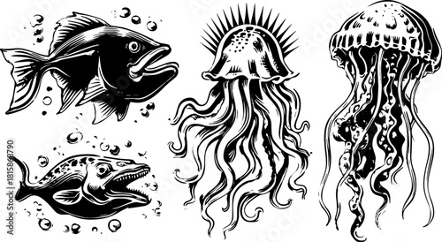 Vector illustration set of fish and jellyfish in an antique style. This design features black outlines of aquatic creatures with bubbles in a vintage engraving format.