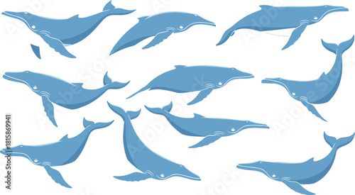 Blue whale vector, cartoon marine animals, swimming poses, ocean creatures, stylized design, aquatic life, sea illustration, graceful motion, flat icons, nature art