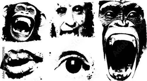 Monkey and gorilla faces in black and white. Vector illustration showcasing expressive features in a creative set.