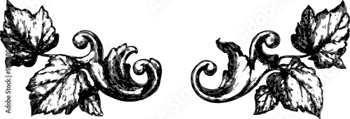 Decorative leaves and vines in black and white outline style. Elaborate botanical elements are featured in this vector illustration set.