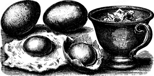Vintage engraving of eggs and a cup. Hand-drawn illustration displaying a simple breakfast set in a classic style, vector art.