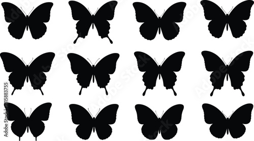 Butterfly silhouettes collection, insect icons, flying butterfly shapes, black vector design, nature elements, decorative insects, isolated wings, moth and butterfly set