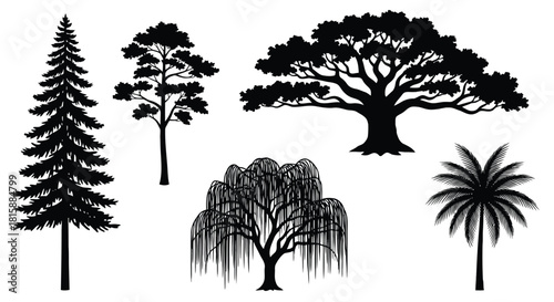Collection of diverse tree silhouettes including evergreen palm and deciduous varieties silhouette