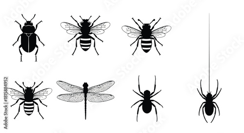 Collection of insect and spider silhouettes