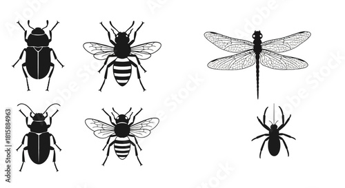 Collection of insect and spider silhouettes
