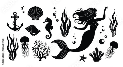 Collection of underwater sea life and mermaid silhouette